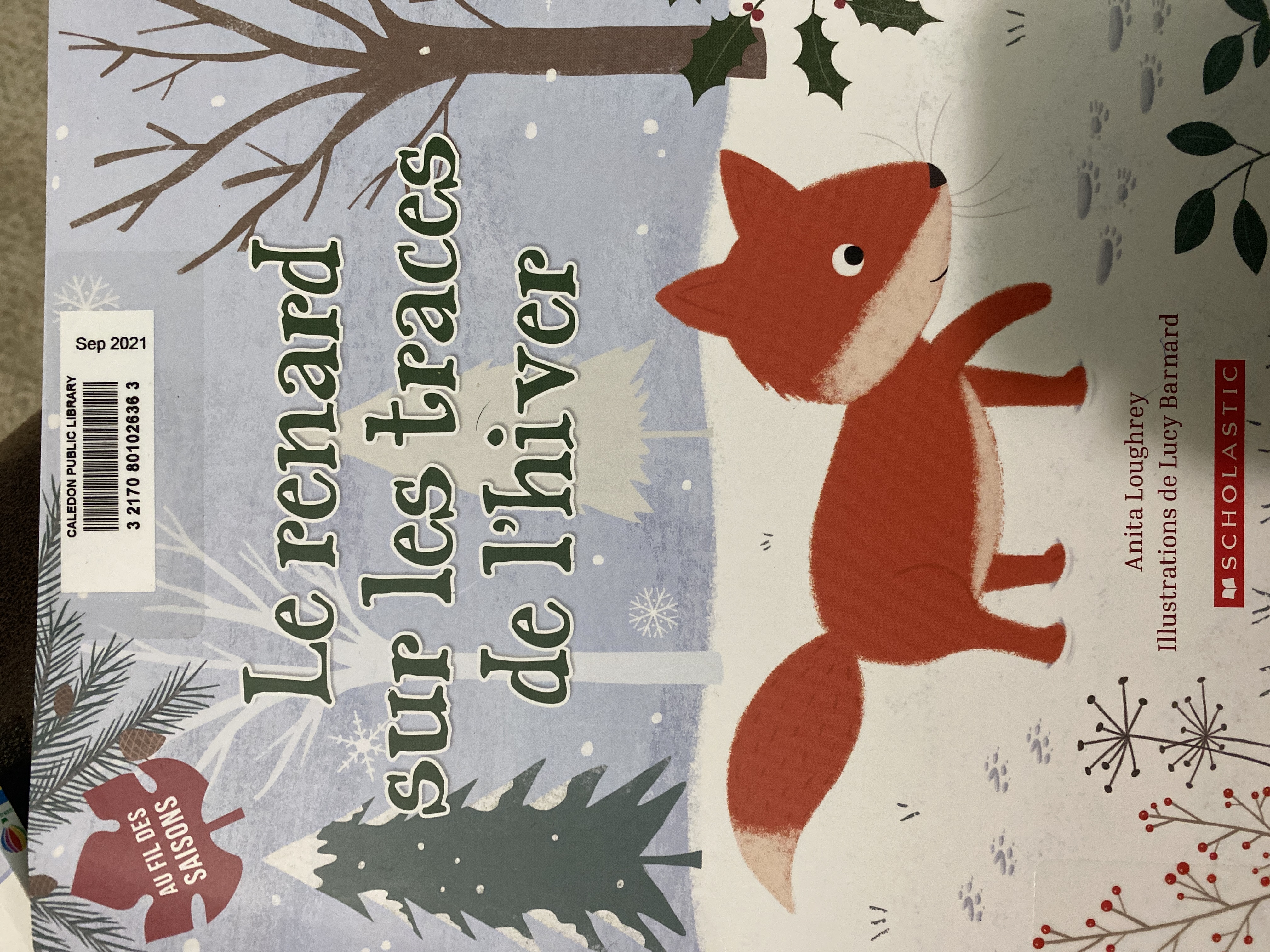 Le renard sur les traces de l'hiver (Au fil des saisons)