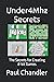 Under4Mhz Secrets: The Secr...