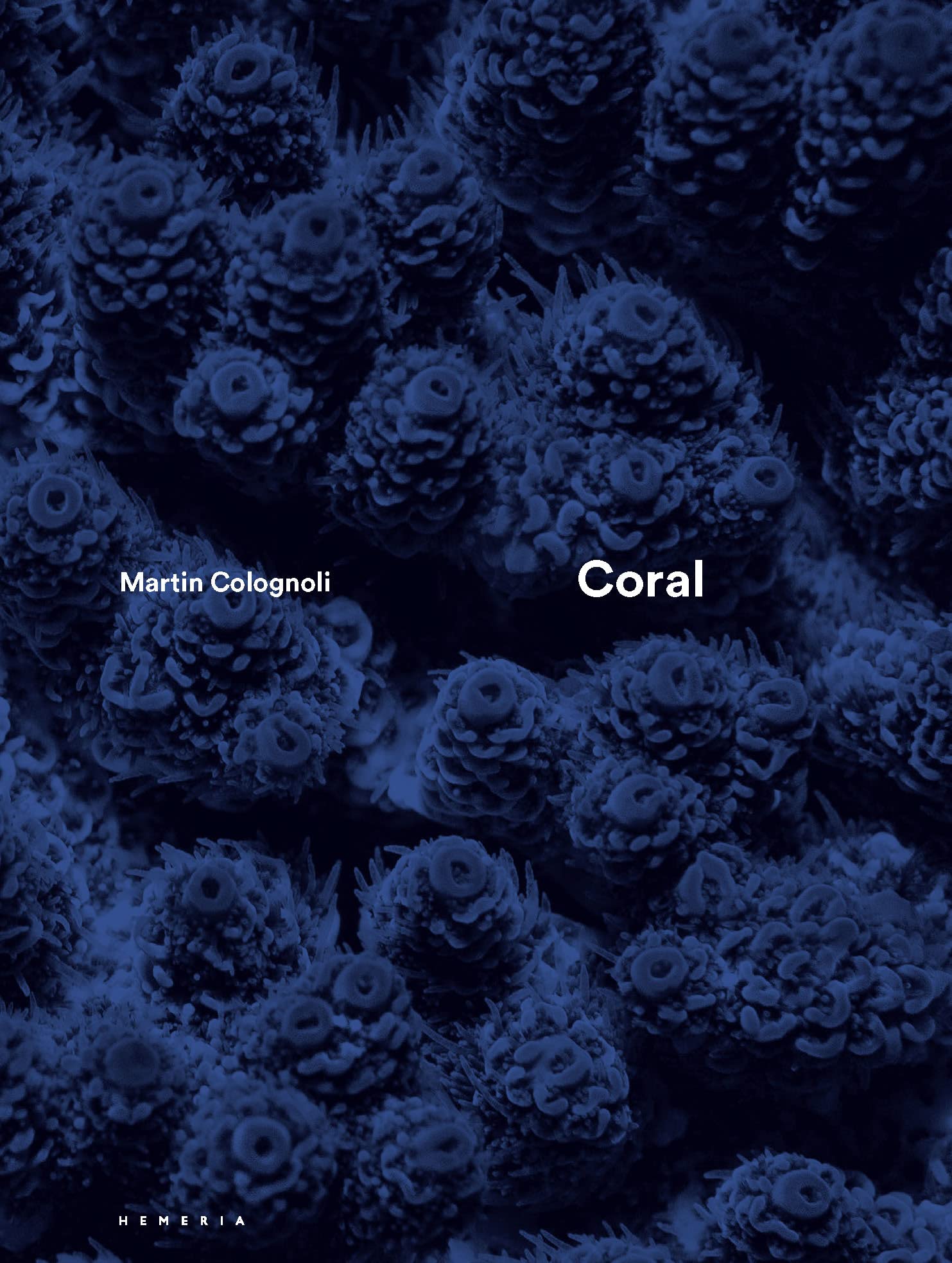 Coral (Hardcover)