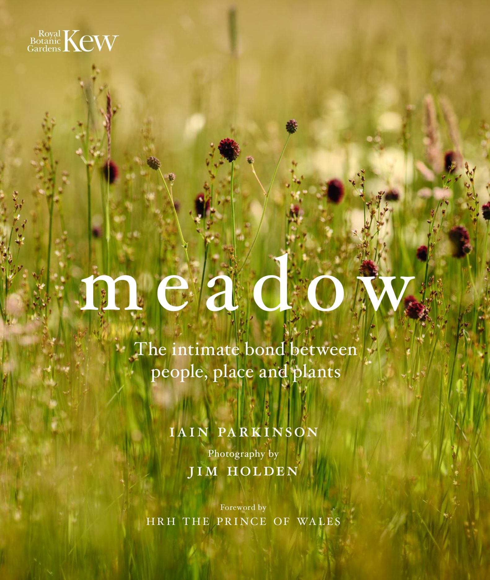 Meadow: The Intimate Bond between People, Place and Plants (Hardcover)
