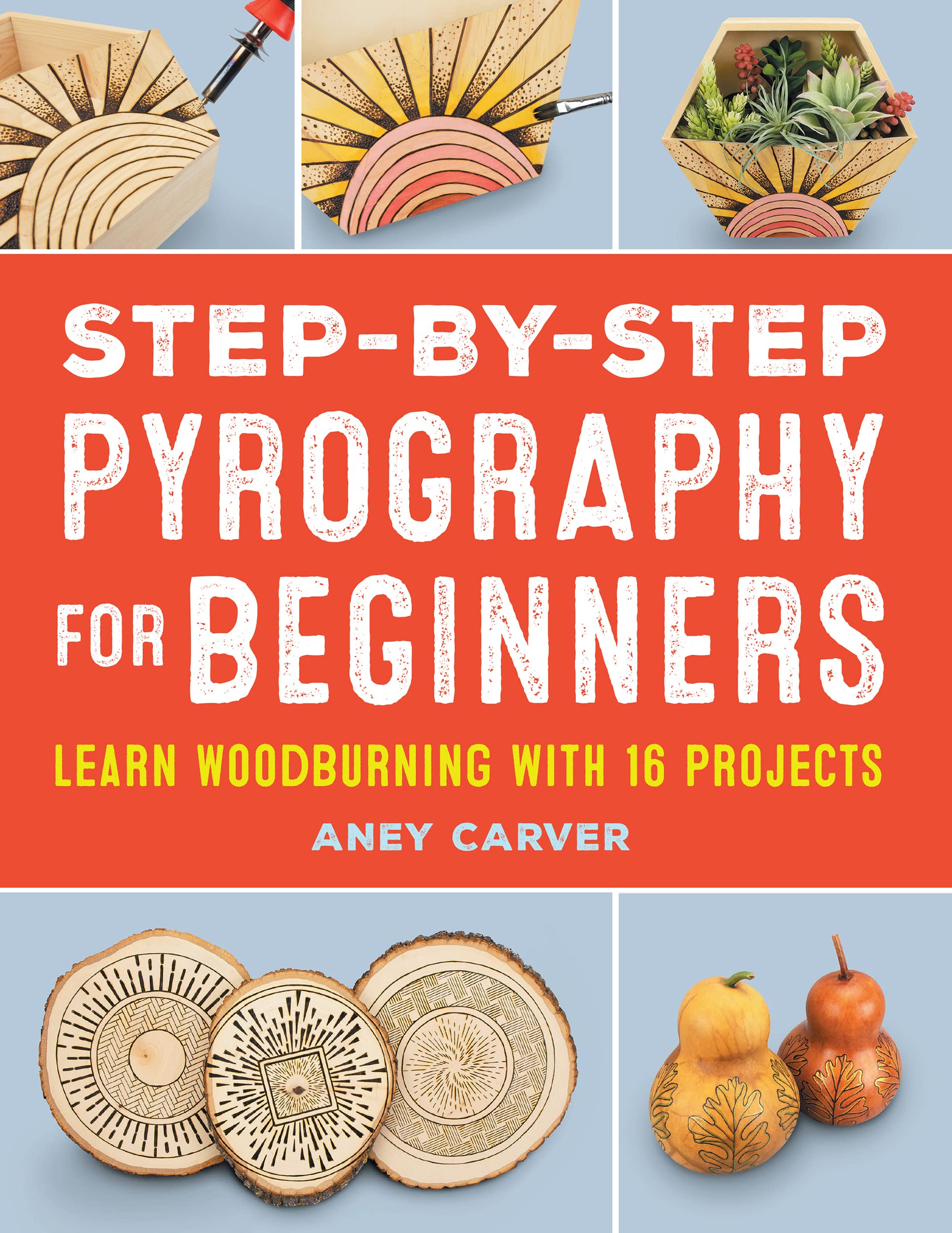 Step-by-Step Pyrography for Beginners: Learn Woodburning with 16 Projects (Kindle Edition)