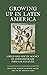 Growing up in Latin America by Marco Ramírez Rojas