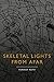 Skeletal Lights from Afar by Forrest Roth