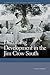 Disturbing Development in the Jim Crow South (Geographies of Justice and Social Transformation)
