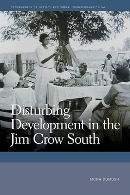 Disturbing Development in the Jim Crow South (Geographies of Justice and Social Transformation)