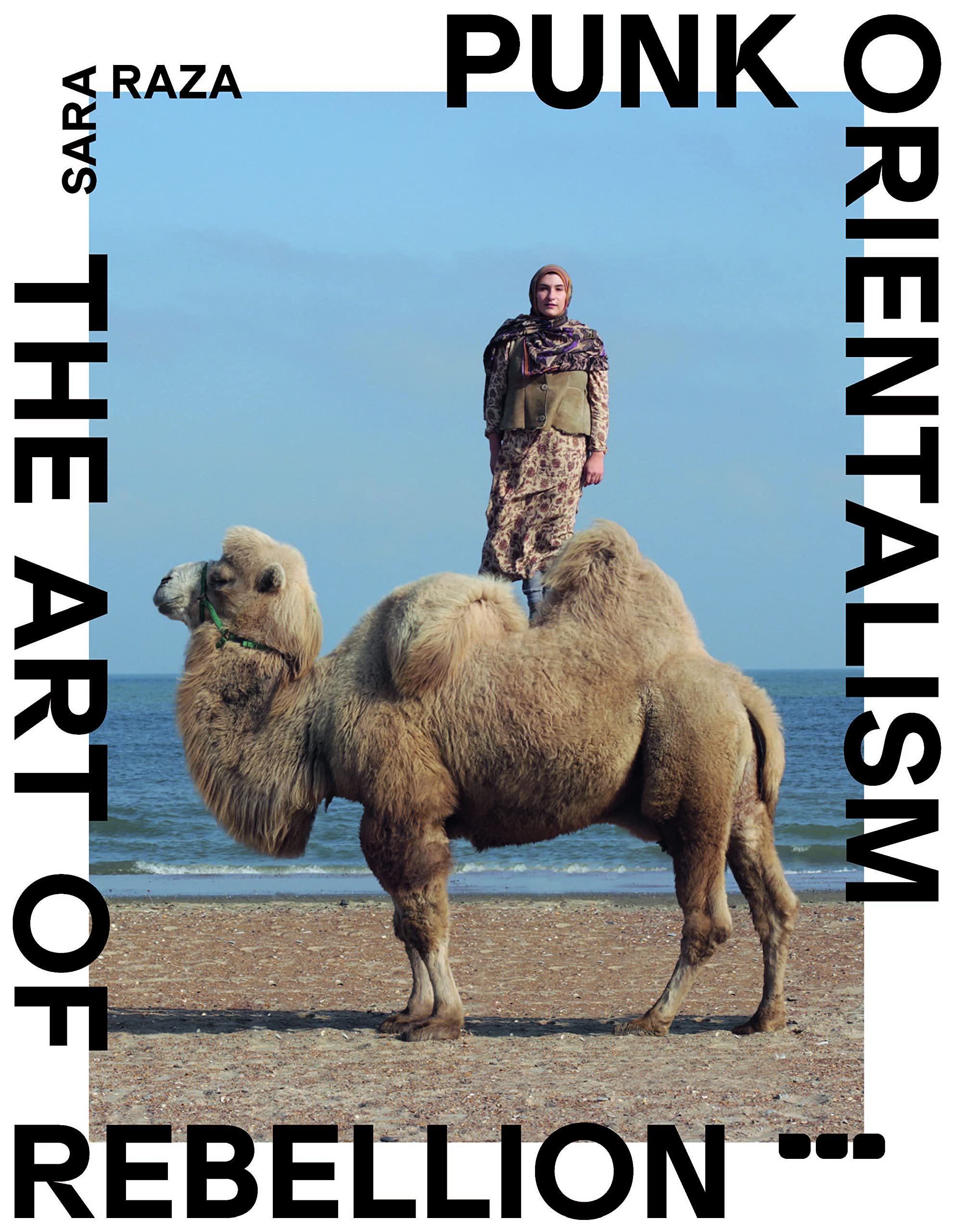 Punk Orientalism: The Art of Rebellion (Paperback)