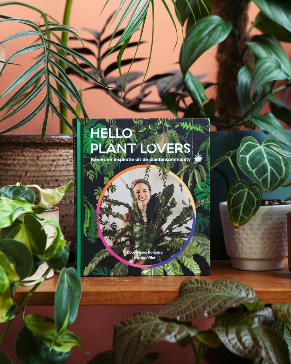 hello plant lovers