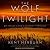 The Wolf at Twilight: An Indian Elder's Journey Through a Land of Ghosts and Shadows