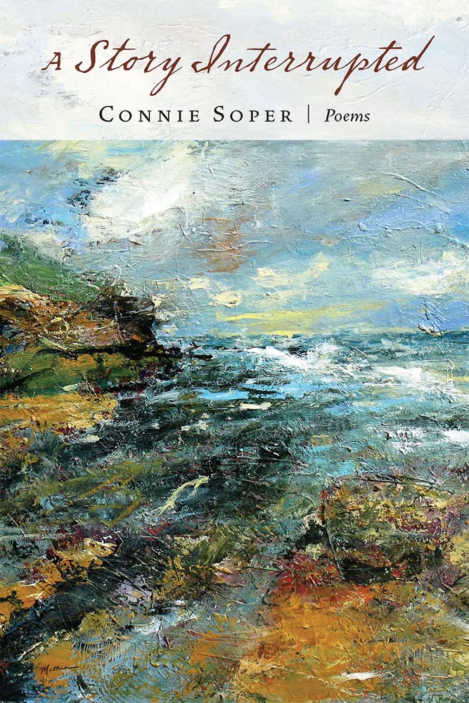 A Story Interrupted (Paperback)