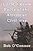 Little-Known Facts of the American Civil War by Bob O'Connor