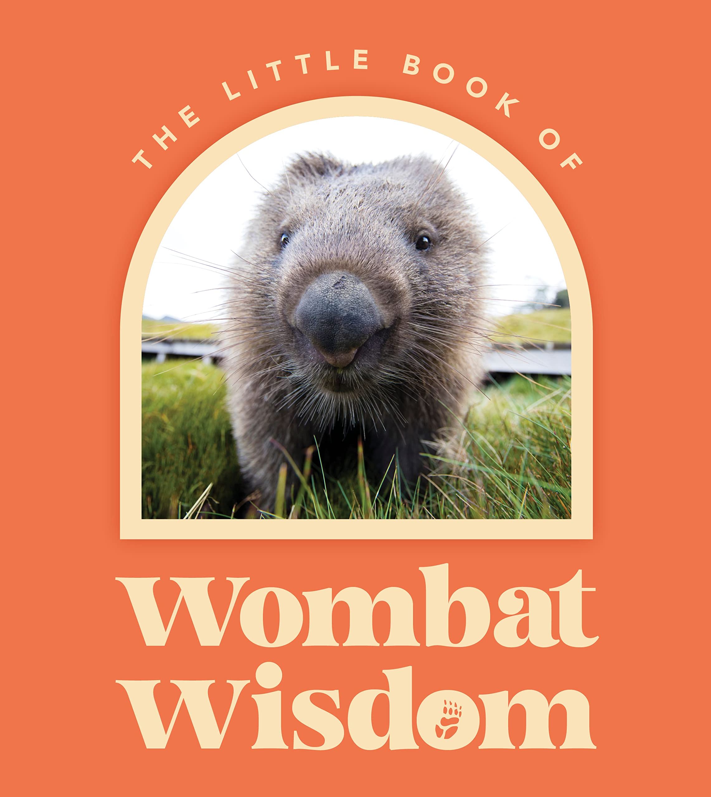 Little Book Of Wombat Wisdom (Hardcover)