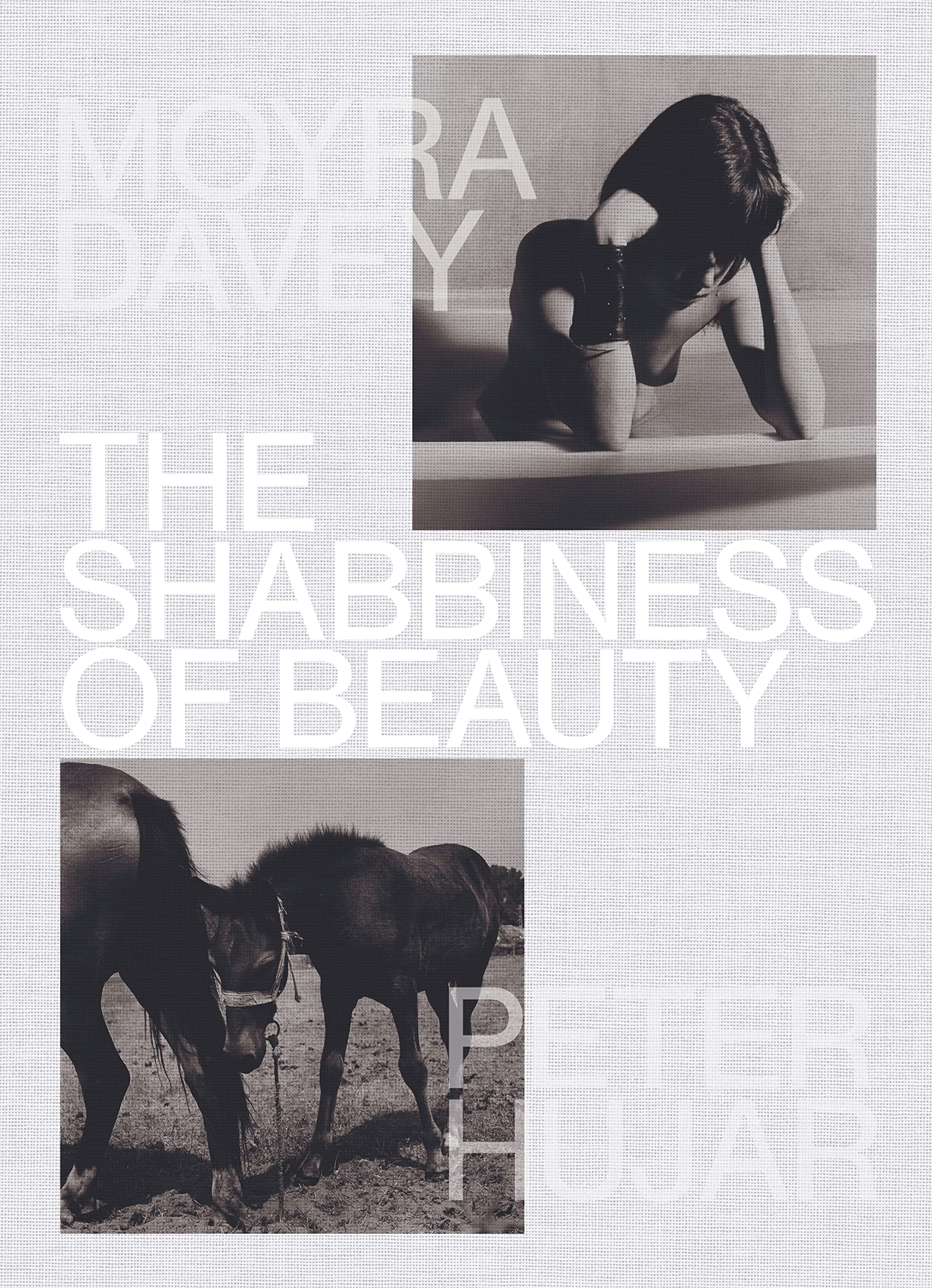 The Shabbiness of Beauty (Hardcover)