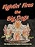 Fightin' Fires the Big Dogs by Jack Brady