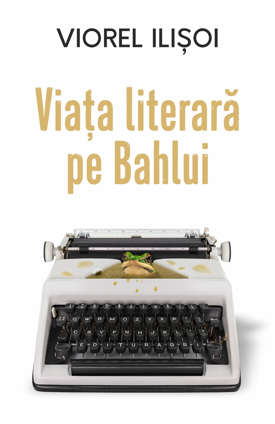 Viața literară pe Bahlui