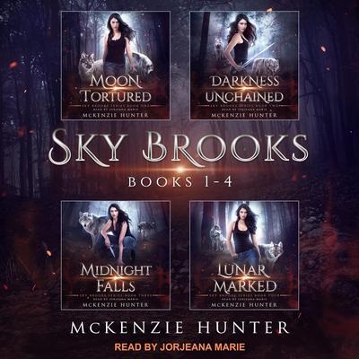 Sky Brooks Boxed Set, Books 1-4