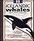 Icelandic Whales by Sigurður Ægisson