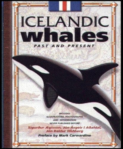 Icelandic Whales: Past and Present (Spiral-bound)