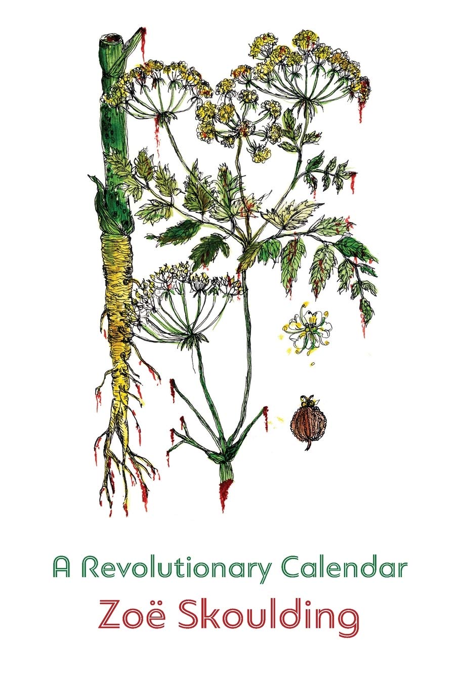 A Revolutionary Calendar (Paperback)