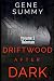 Driftwood after Dark by Gene Summy
