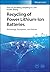 Recycling of Power Lithium-Ion Batteries by Xiao Lin