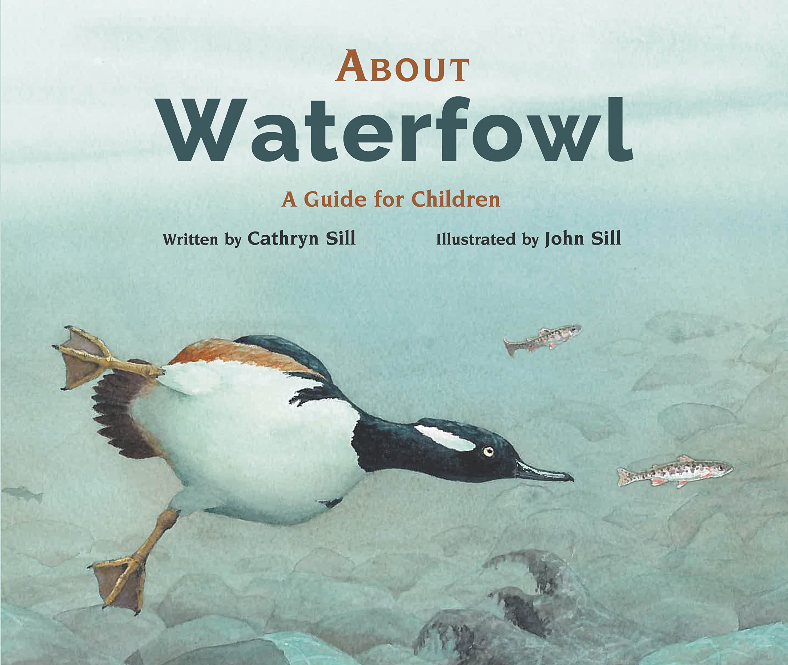 About Waterfowl: A Guide for Children (Hardcover)