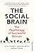 The Social Brain: The Psychology of Successful Groups