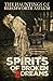 Spirits of Broken Dreams: T...