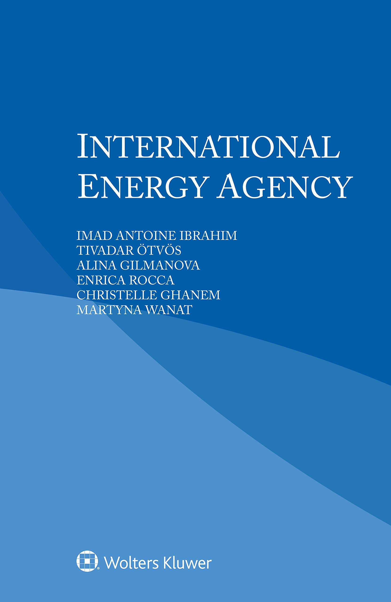 International Energy Agency (Kindle Edition)