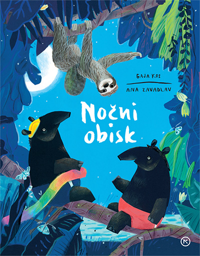 Nočni obisk (Hardcover)