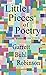Little Pieces of Poetry