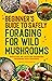 Beginner's Guide to Safely Foraging for Wild Mushrooms: Identifying and Collecting Mushrooms Sustainably with Confidence
