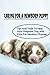 Caring For A Newborn Puppy: Tips And Tricks To Help Your Pregnant Dog And Care For Newborn Puppies