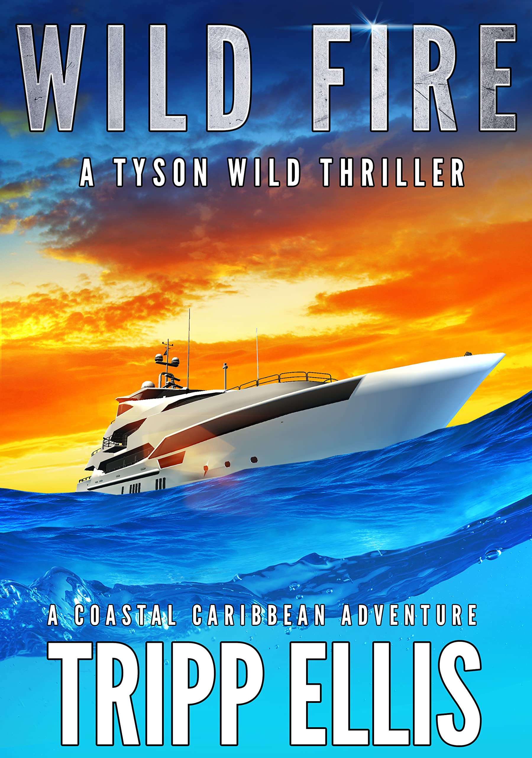 Wild Fire (Tyson Wild Thriller, #50)