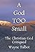 A God TOO Small: The Christ...