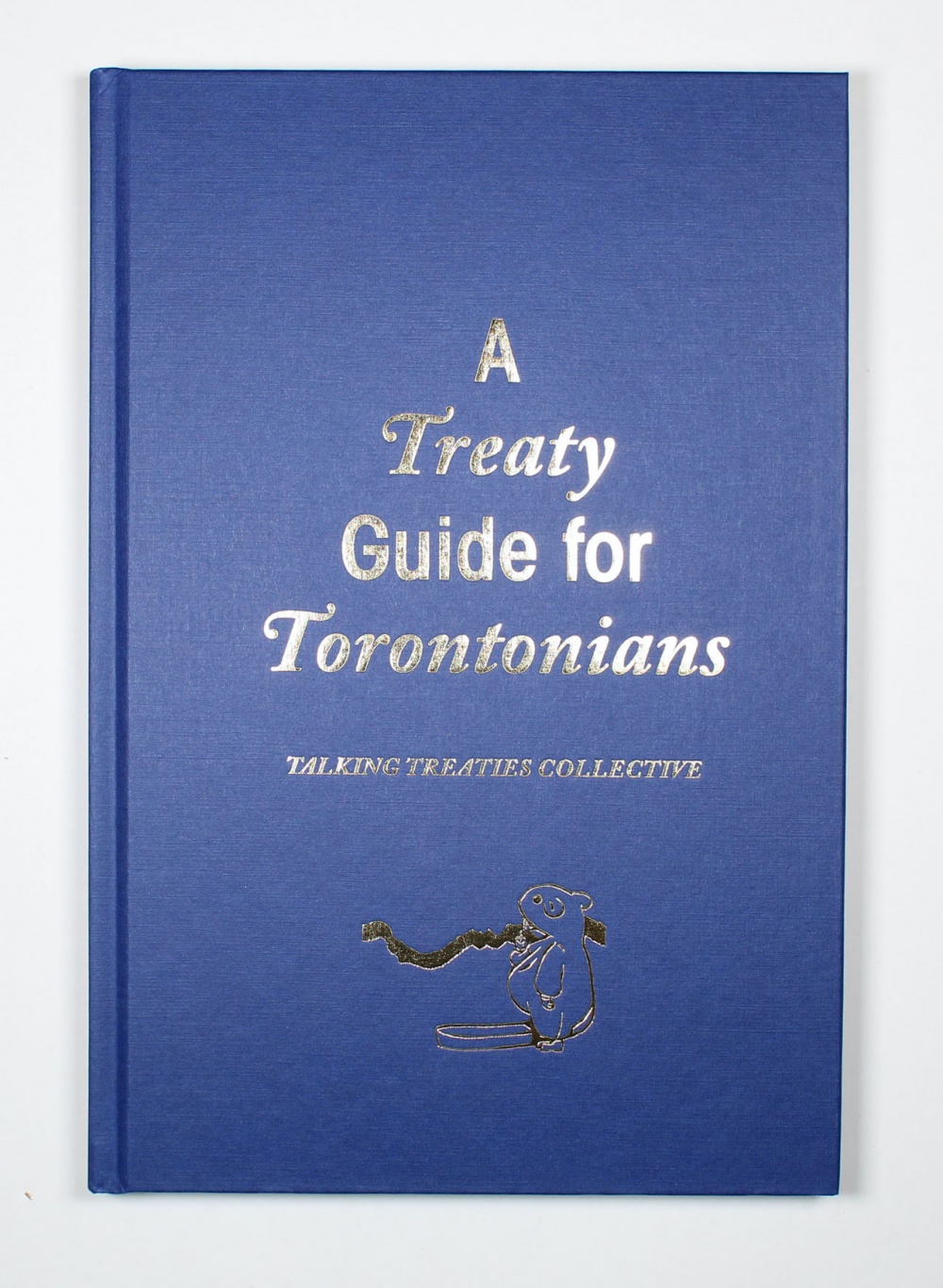 A Treaty Guide for Torontonians (Hardcover)