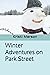 Winter Adventures on Park S...