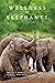 Wellness for Elephants: Pro...