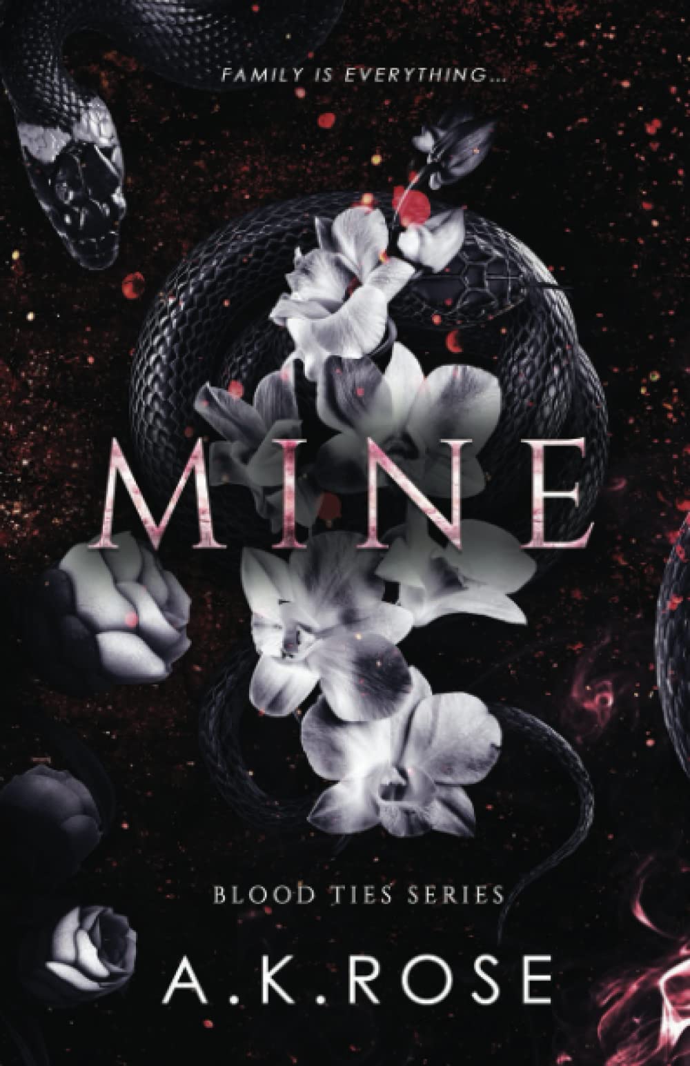 Mine: Alternate Cover Edition (Paperback)