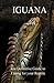 Iguana: The Definitive Guid...
