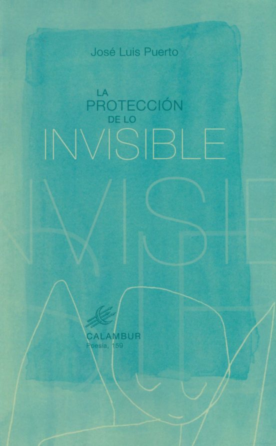 La protección de lo invisible (Kindle Edition)
