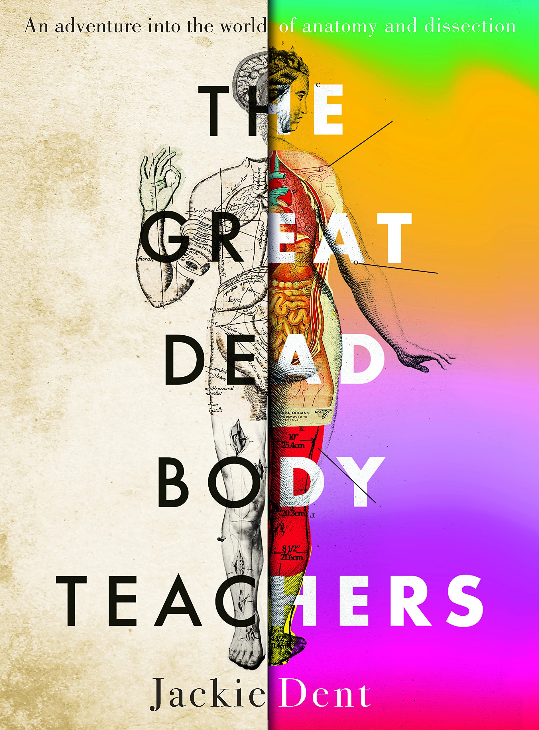 The Great Dead Body Teachers: An adventure into the world of anatomy and dissection (Kindle Edition)