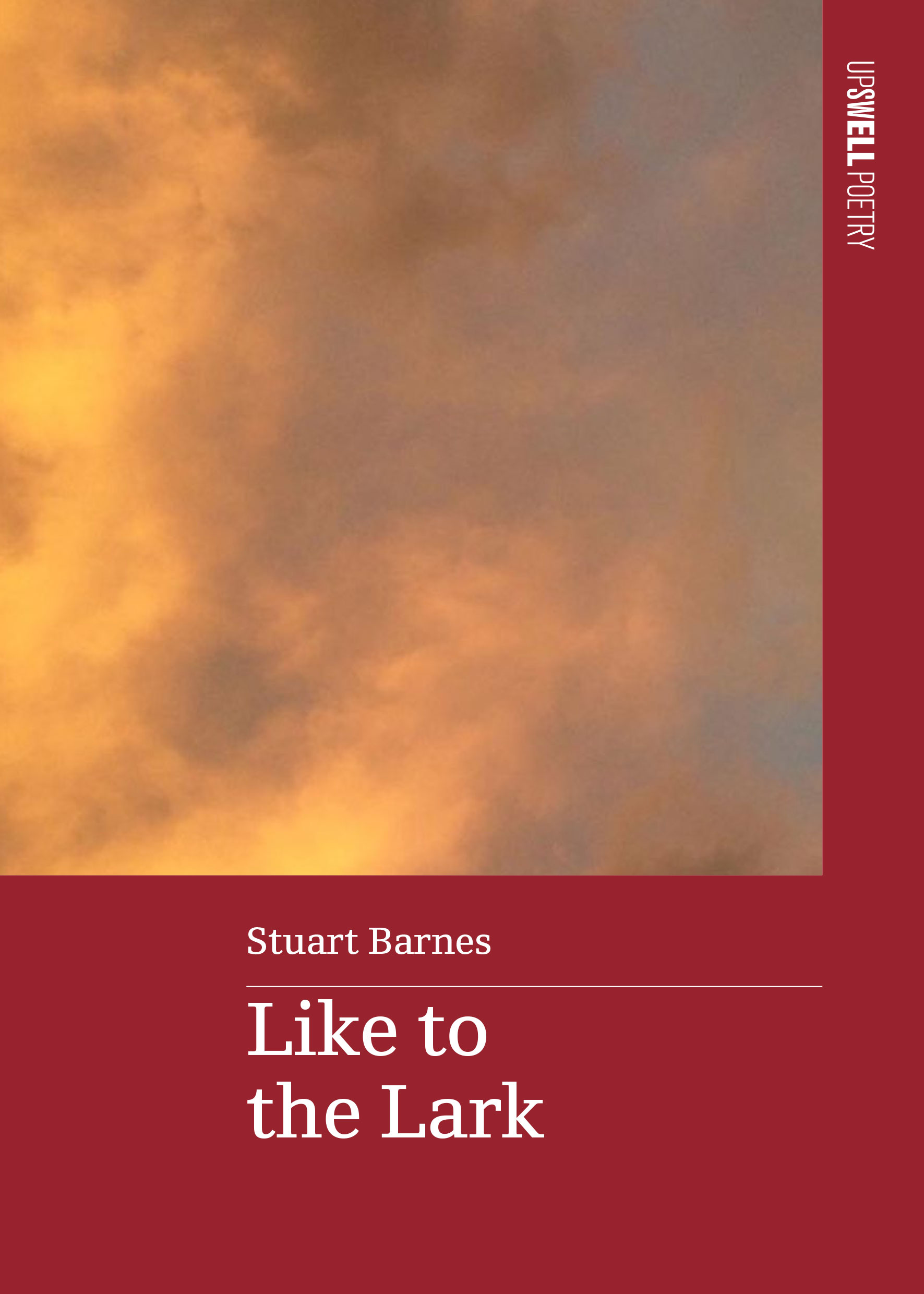 Like to the Lark (Paperback)