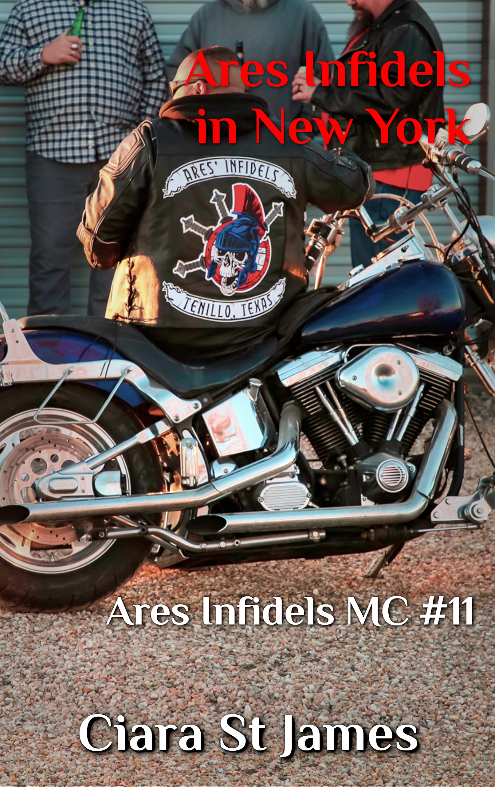 Ares Infidels in New York (Ares Infidels MC, #11)