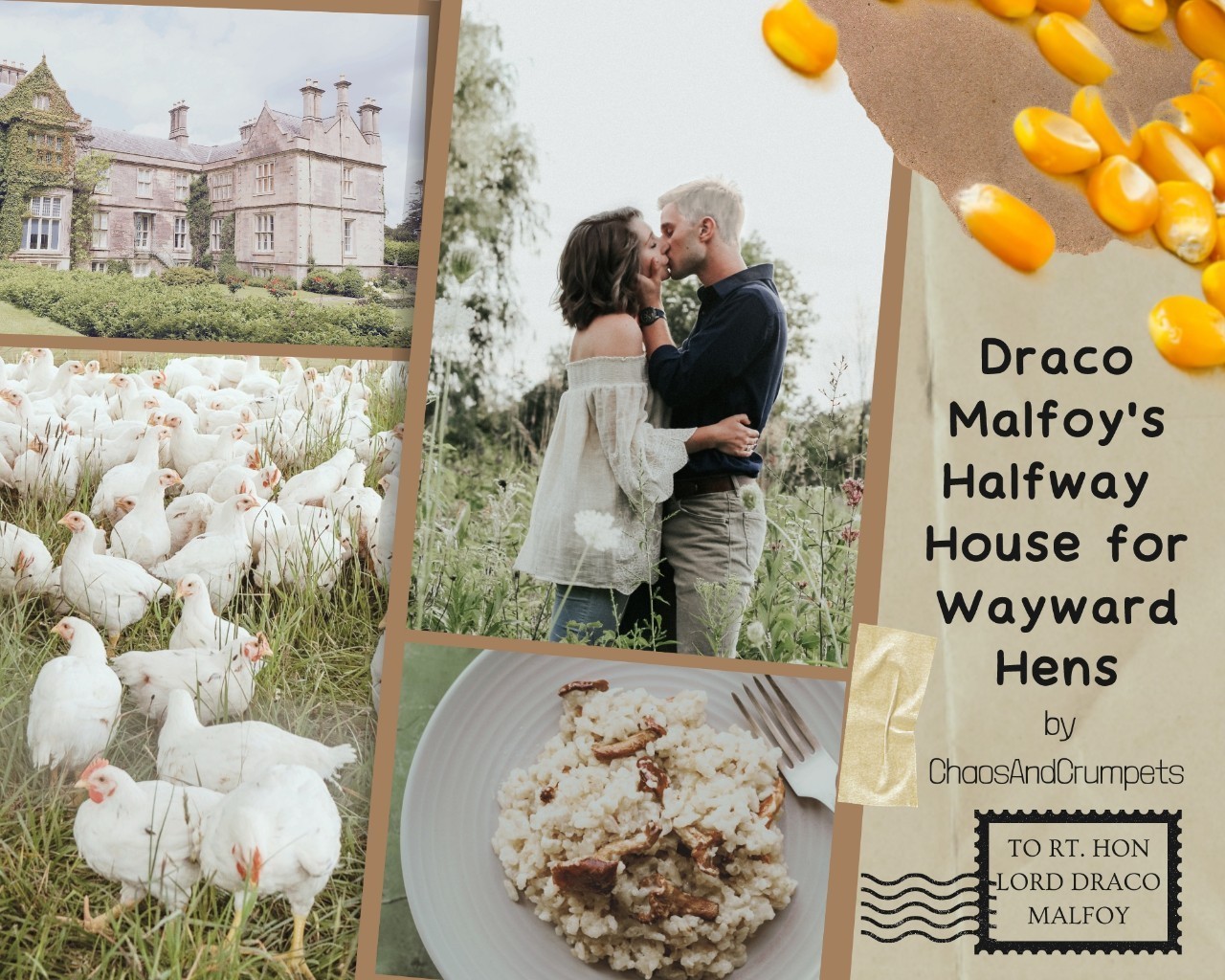 Draco Malfoy’s Halfway House for Wayward Hens