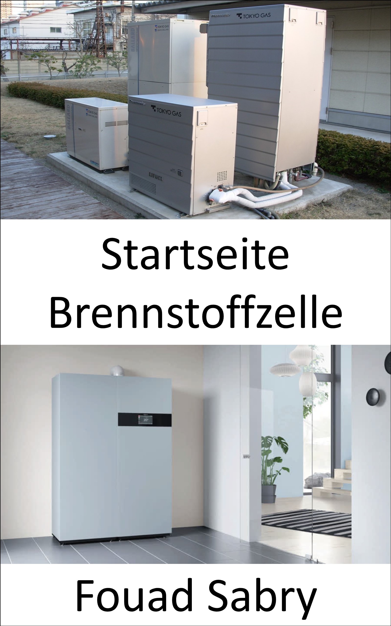 Startseite Brennstoffzelle: Kleiner Generator für Strom und Warmwasser (Neue Technologien In Der Energie [German], #12)