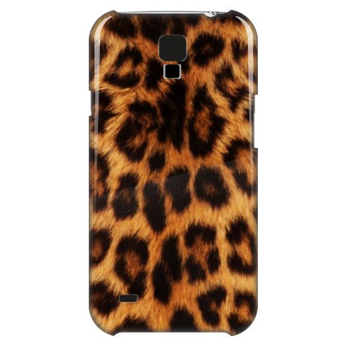 The Leopard