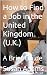 How to Find a Job in the Un...