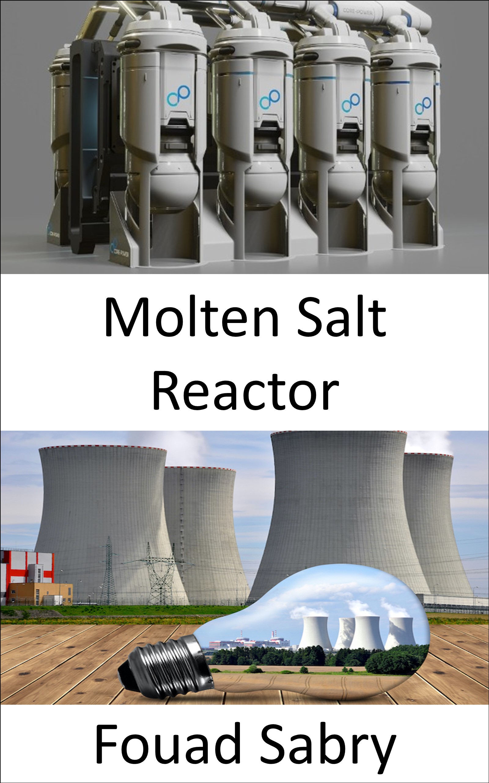 Molten Salt Reactor: Rethinking the fuel cycle in the future of nuclear power? (Emerging Technologies in Energy, #18)