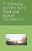 A Testimony and the Spirit-Filled and Biblical Christian Life by Steve Kang