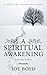 A Spiritual Awakening by Joe Boyd
